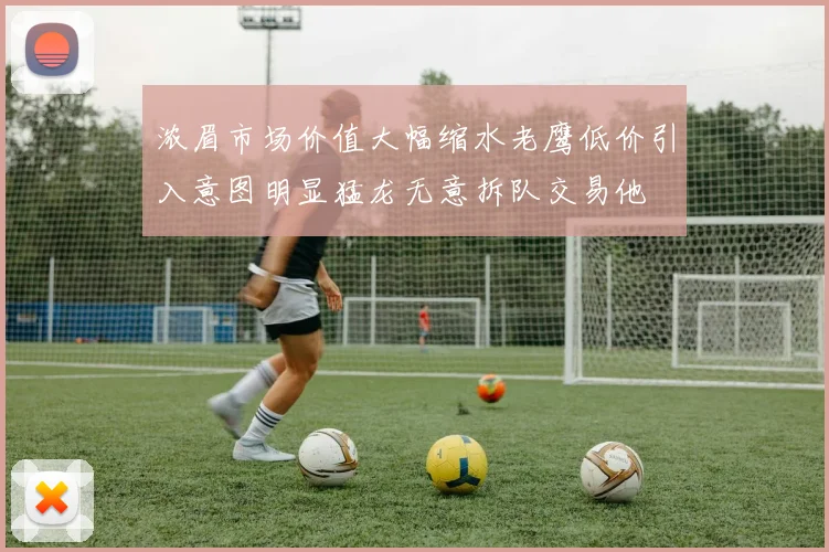 浓眉市场价值大幅缩水老鹰低价引入意图明显猛龙无意拆队交易他
